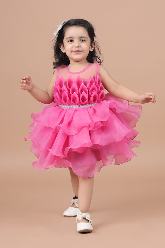 Rani Organza fit and flare frock