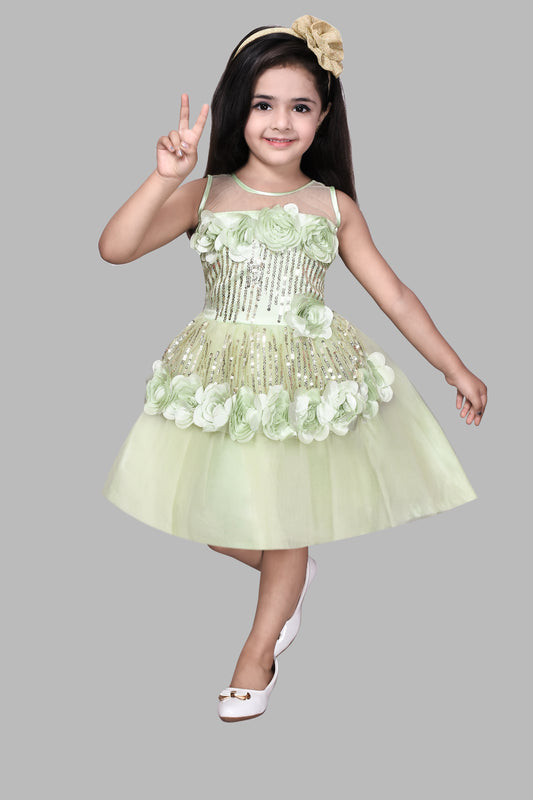 Roses Baby Party Frock (Pistachio)